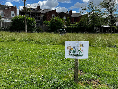 wildflower meadow